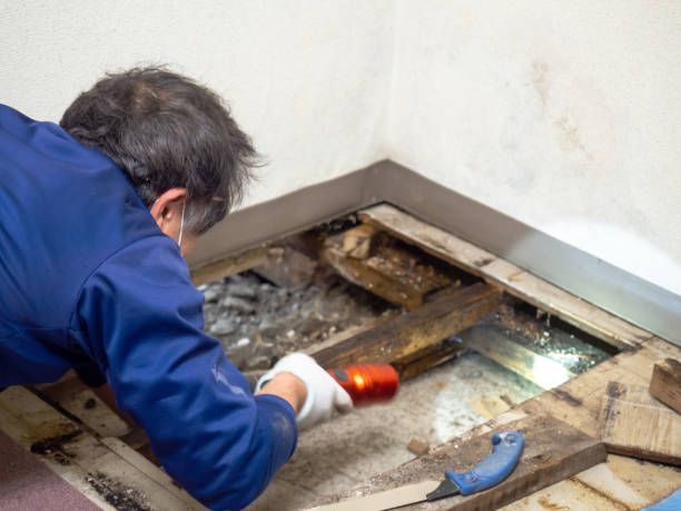 Best Crawl Space Mold Removal  in Gloversville, NY