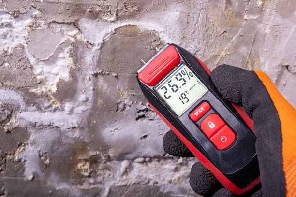 Best Professional Mold Removal  in Gloversville, NY