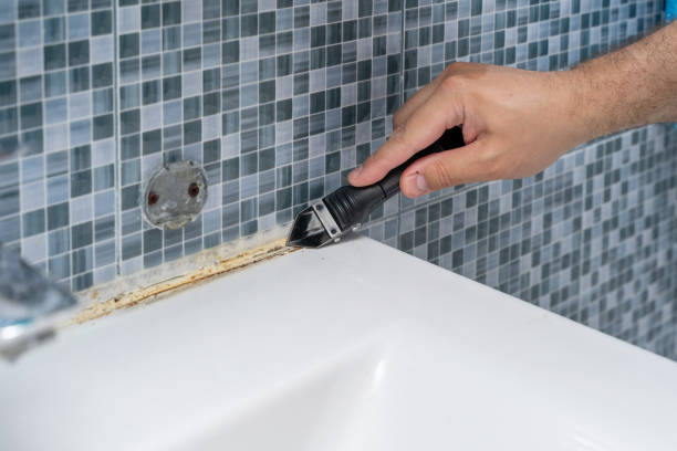 Best Fast Mold Removal  in Gloversville, NY